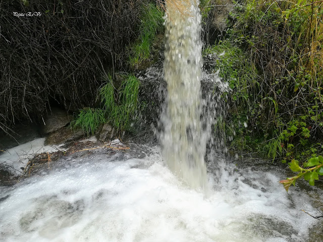 Acequia Alcázar, Ramar de los Caserones