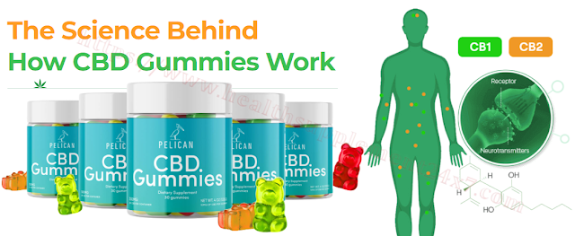 Yuppie CBD Gummies Does It Work? What They Won’t Tell You!