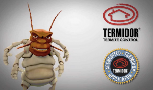 Termite Treatment