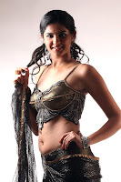 Bollywood and Tollywood acress Deeksha Seth, hot sexy, cleavage, photoshoot, beautiful, still, 