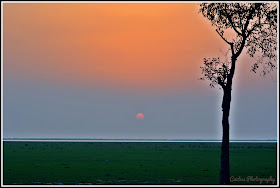 Nijhum Dwip Sea Beach, Sunset in Nijhum Dwip, Nijhum Island Hatia, Trip Navigation Bangladesh, Nijhum Dwip Travel Guide