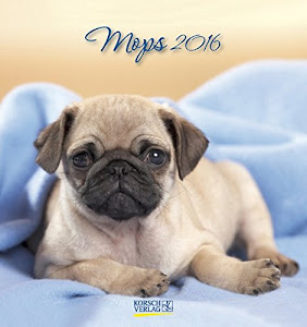 Mops 2016: aufstellbarer Postkartenkalender