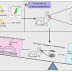 RiTe Conjugate Mediated Corneal Collagen Crosslinking