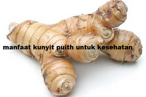 Manfaat Kunyit Putih untuk Kesehatan tubuh