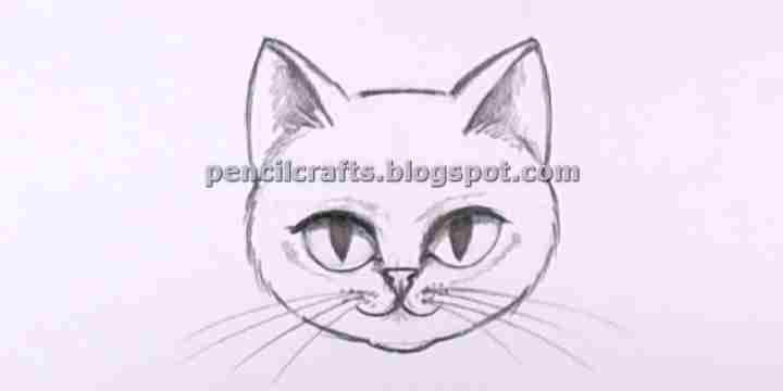 How to Make Cartoon Cat Color Pencil Drawings,Sketches