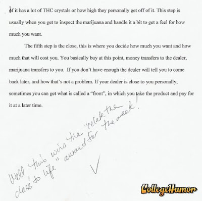 funny essay