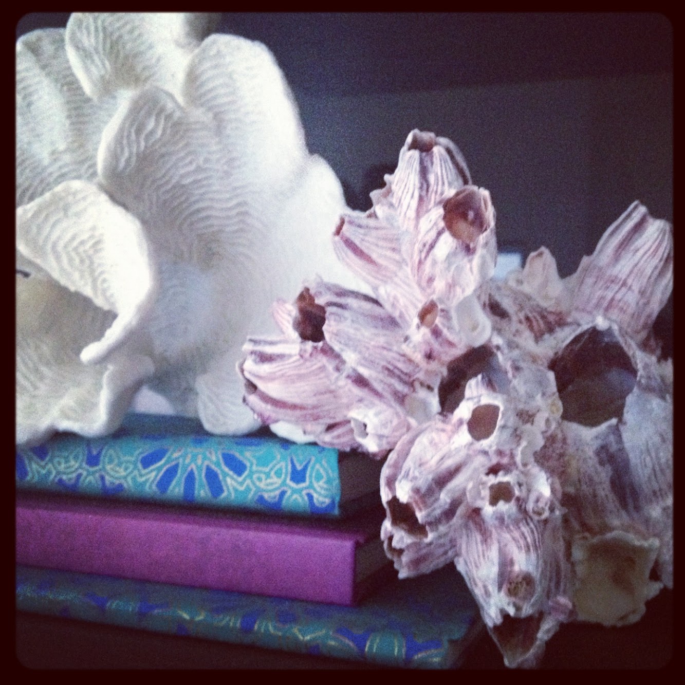 Transforming Tuesdays: Coral etc. inspiration