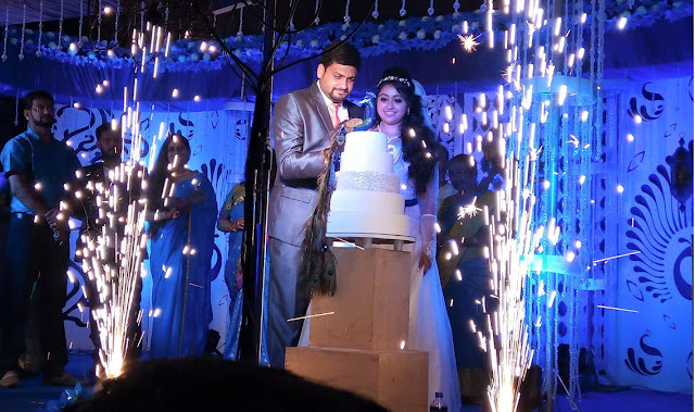 Meghna Vincent married  Don Tony wedding reception photos