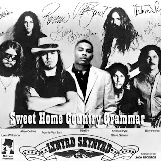 nelly lynyrd skynyrd