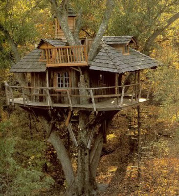 awesome Tree Houses