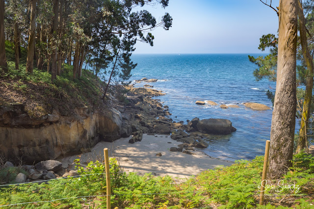 Visita a la misteriosa Isla de Tambo