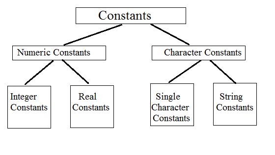 Constants and Basic types of Constants