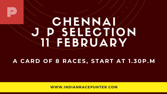 Chennai Jackpot Selections 11 February