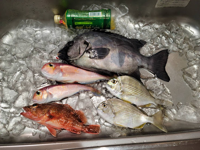 親父たちの釣果