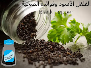 الفلفل الأسود وفوائده الصحية Black pepper