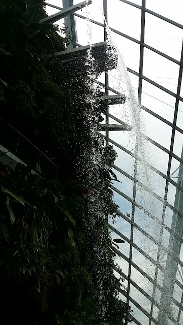 gardens by the bay cloud forest waterfall view