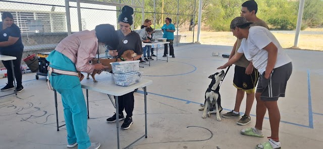 INVITA MUNICIPIO A APROVECHAR LOS SERVICIOS GRATUITOS DE LA CLÍNICA VETERINARIA MÓVIL.