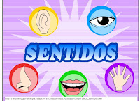 http://websmed.portoalegre.rs.gov.br/escolas/obino/cruzadas1/corpo/cinco_sentidos.swf