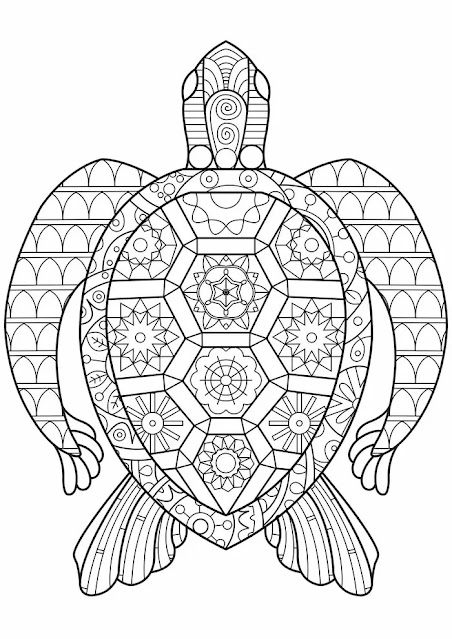 Printable Sea Turtle Coloring Pages for Adults Pdf