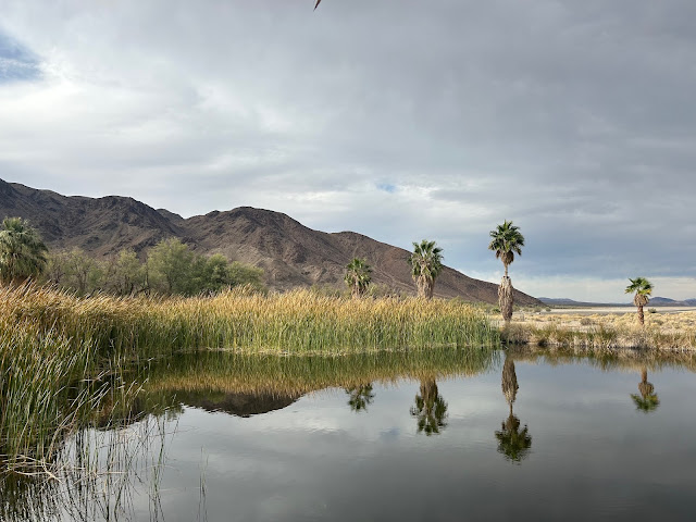 LAKE TUENDAE LOOP HIKING TRAIL ZZYZX ROAD