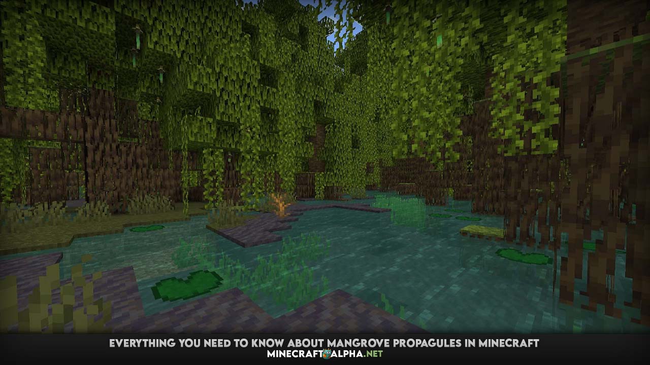 Everything you need to know about mangrove propagules in Minecraft