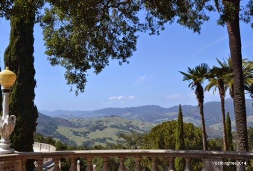 The view from the patio