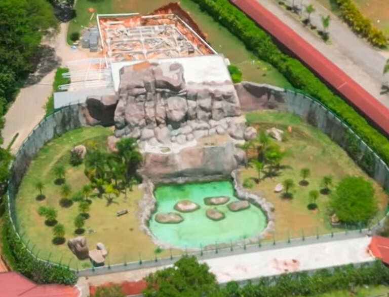 REABERTURA da Big Tower, Animalia Park, Novidades Universal