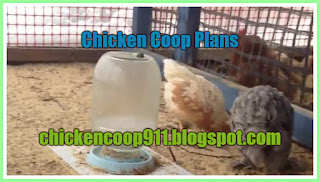 Chicken Coop Plans