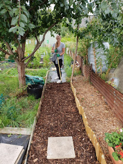 spreading woodchippings on allotment path
