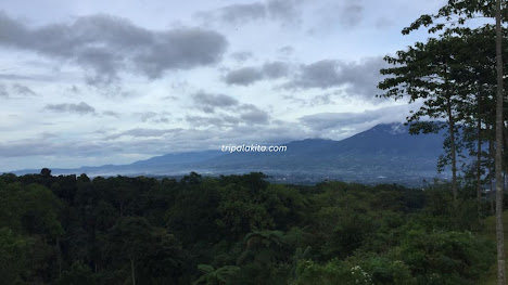 Pemandangan gunung di pagi hari