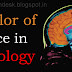 Bachelor of Science in Psychology - McNeese State University