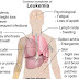 The Signs and Symptoms of Leukemia