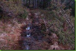 En April-søndag på Godøy 046