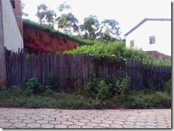 bjardim004