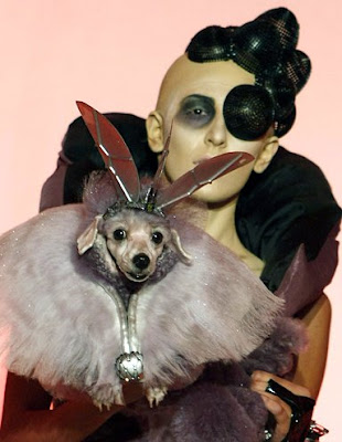 Pet Fashion Week 2007