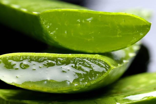 What are the Benefits of Aloevera
