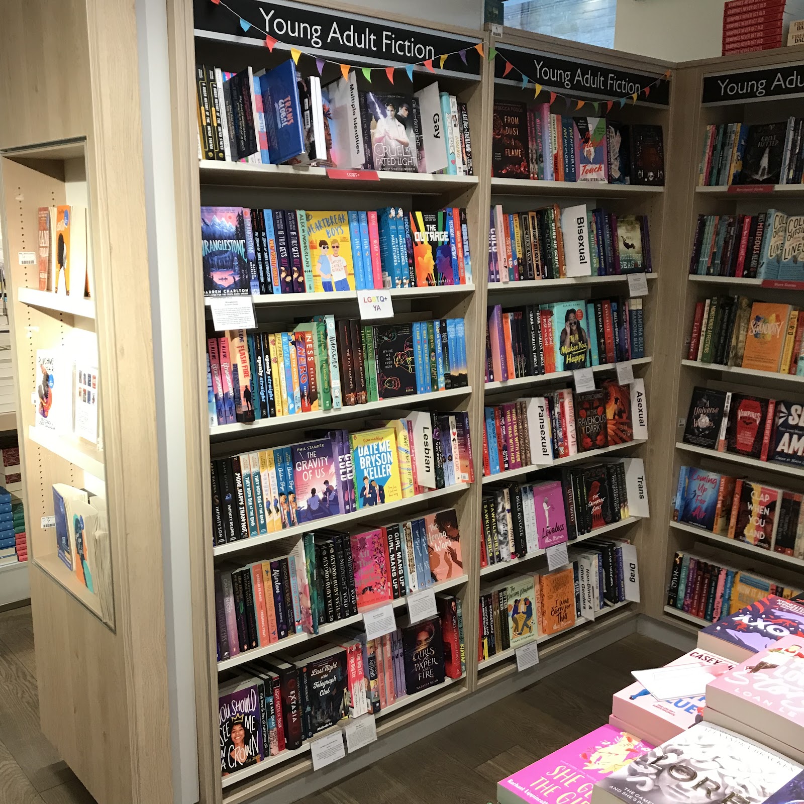 A photo of the two LGBTQ+ YA bays taken at an angle from the left, so you can read the laminated dividers, with the identities on for the subsubsections.