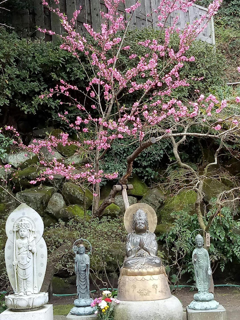 Figurines and blossom at the Hasedera temple - Kamakura, Japan