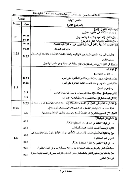 تصحيح موضوع اللغة العربية بكالوريا 2023 شعبة لغات أجنبية