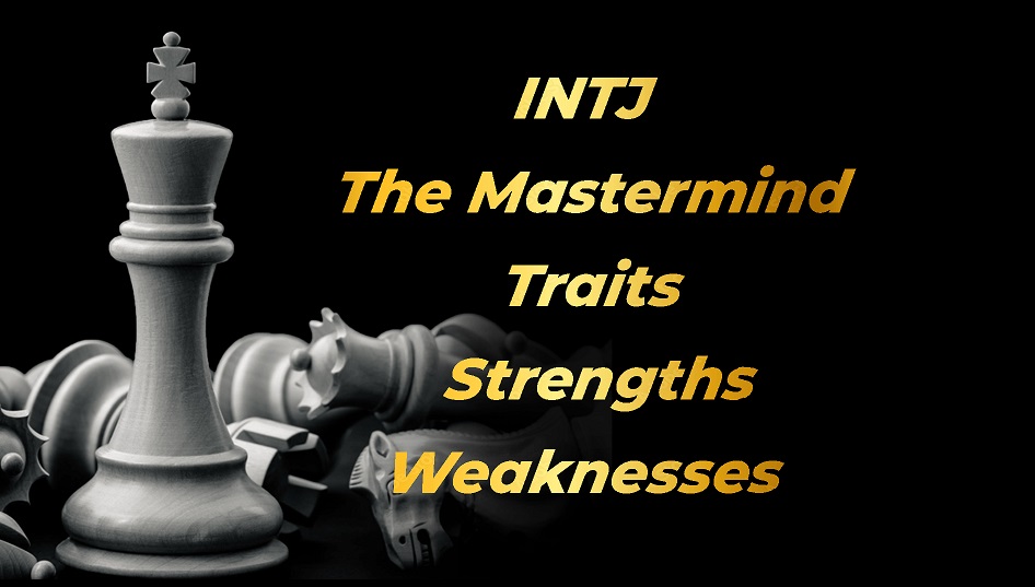INTJ Personality Type (The Mastermind) « Transitions Individual & Couple's  Counseling « Harrisonburg, Virginia « Make Changes that Last