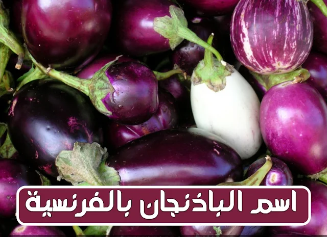 اسم الباذنجان بالفرنسية