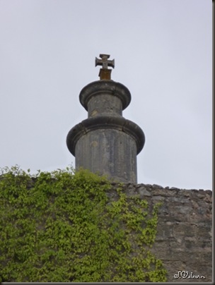 P1060737