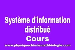 Cours de Système d'information distribué PDF