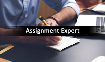 Assignment Expert