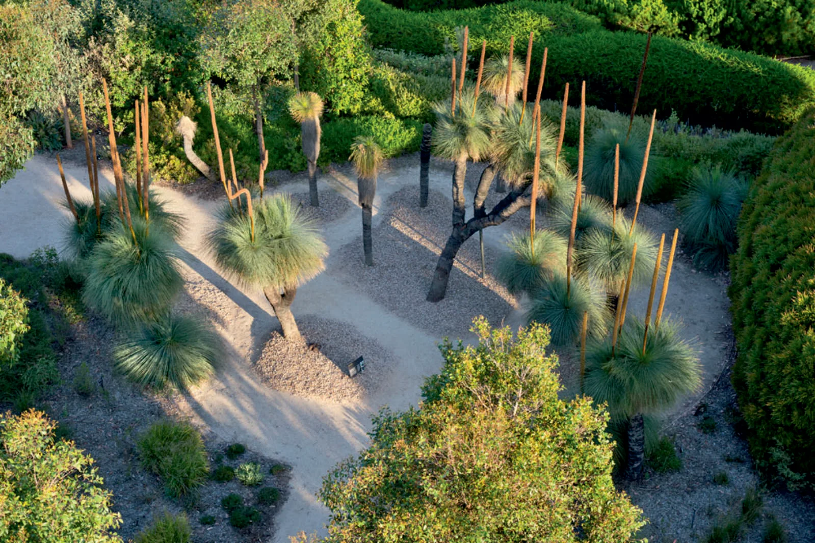 The Australian Garden by Taylor Cullity Lethlean and