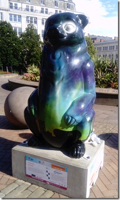 aurora bear