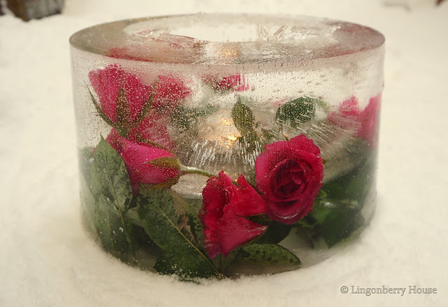 lingonberryhouse, DIY, ruusujäälyhty, rose ice lantern, winter, talvi