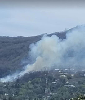 Comunitarios niegan informaciòn de Medio Ambiente de que incendios han sido eliminados en Barahona