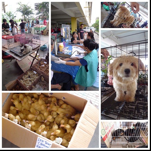 Sat Market @ Kolombong