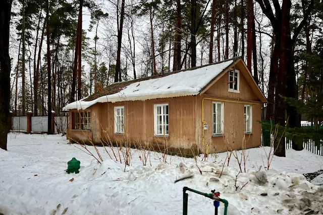 посёлок Переделкино, улица Павленко, территория Дома-музея Бориса Пастернака